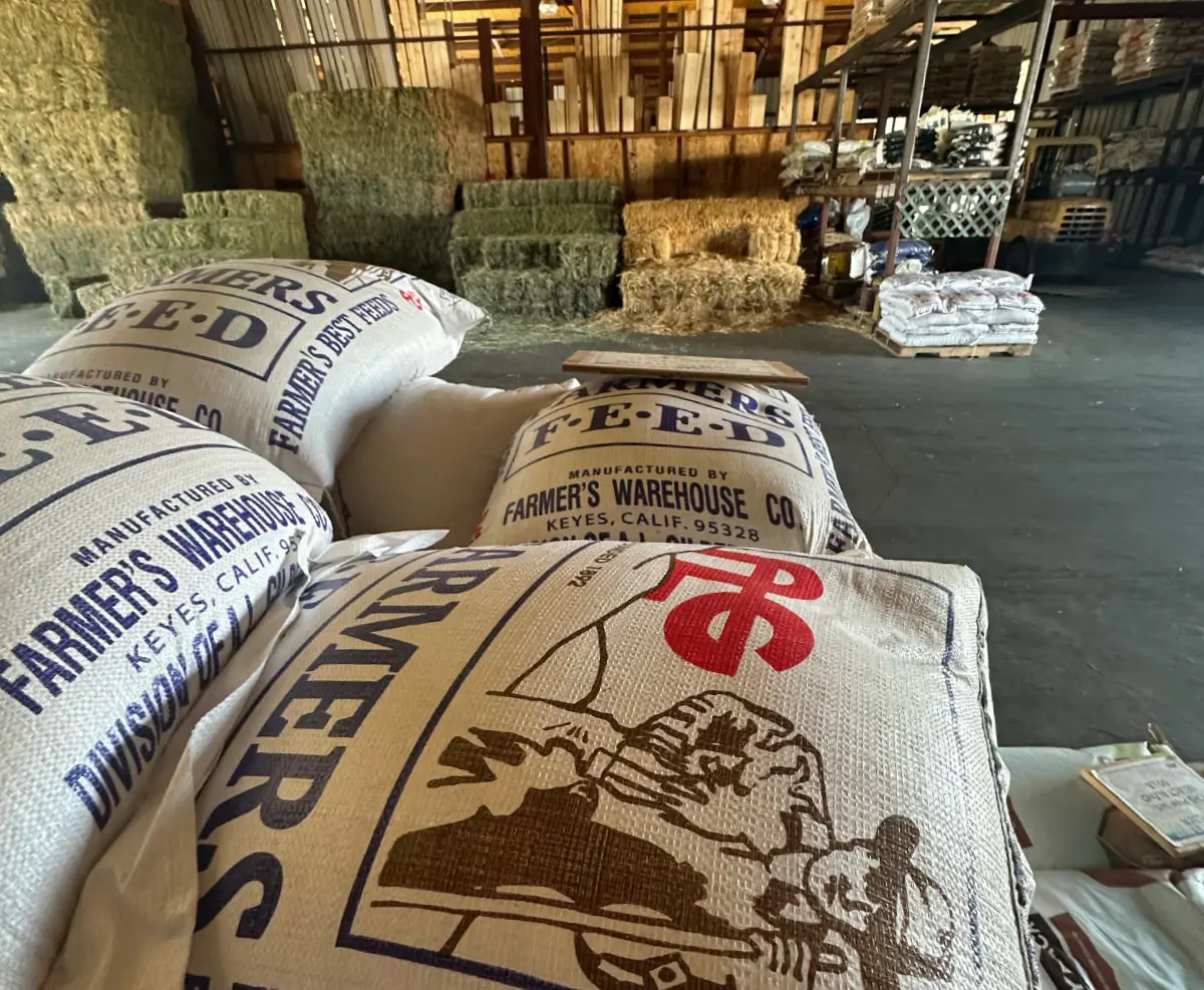 Inside Store
